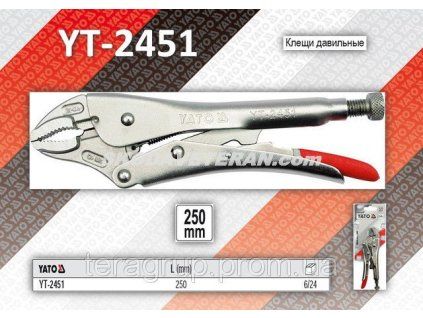 YT 2451