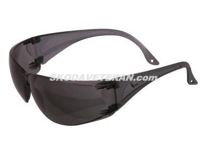 8678 4110%20002%20720%2000%20CXS%20LYNX