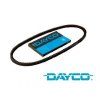 AVX%20Dayco