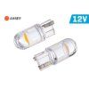Žiarovka LED VISION  WY5W T10 celosklenená oranž
