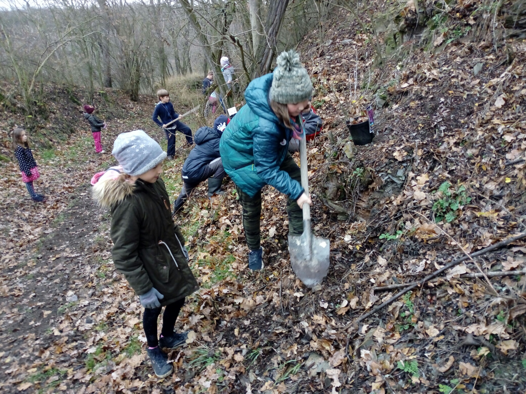 Sázení stromů na Kovárských stráních 29.11.2019