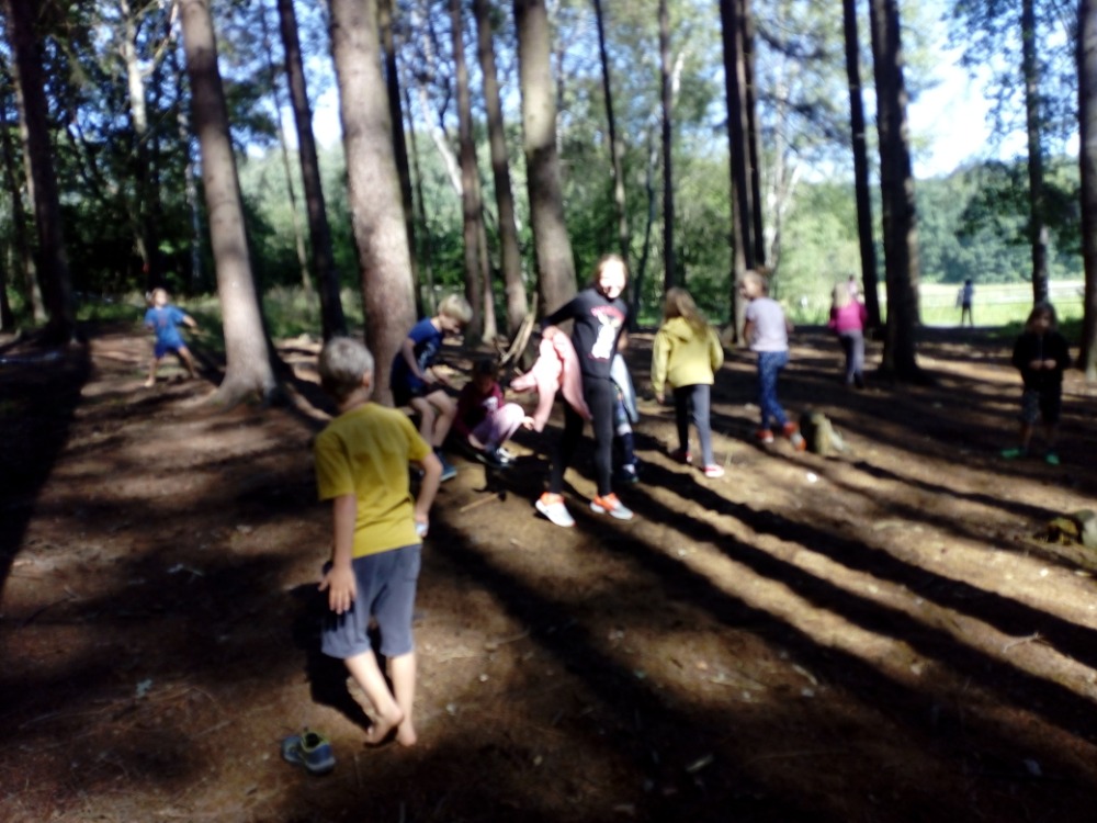 Škola v přírodě 2020 - 3., 4., 5. ročník