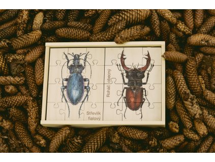 Puzzle zvířátka - Hmyz