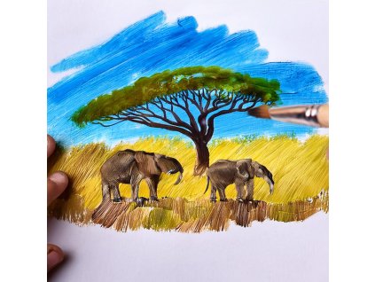 spolecna color basic