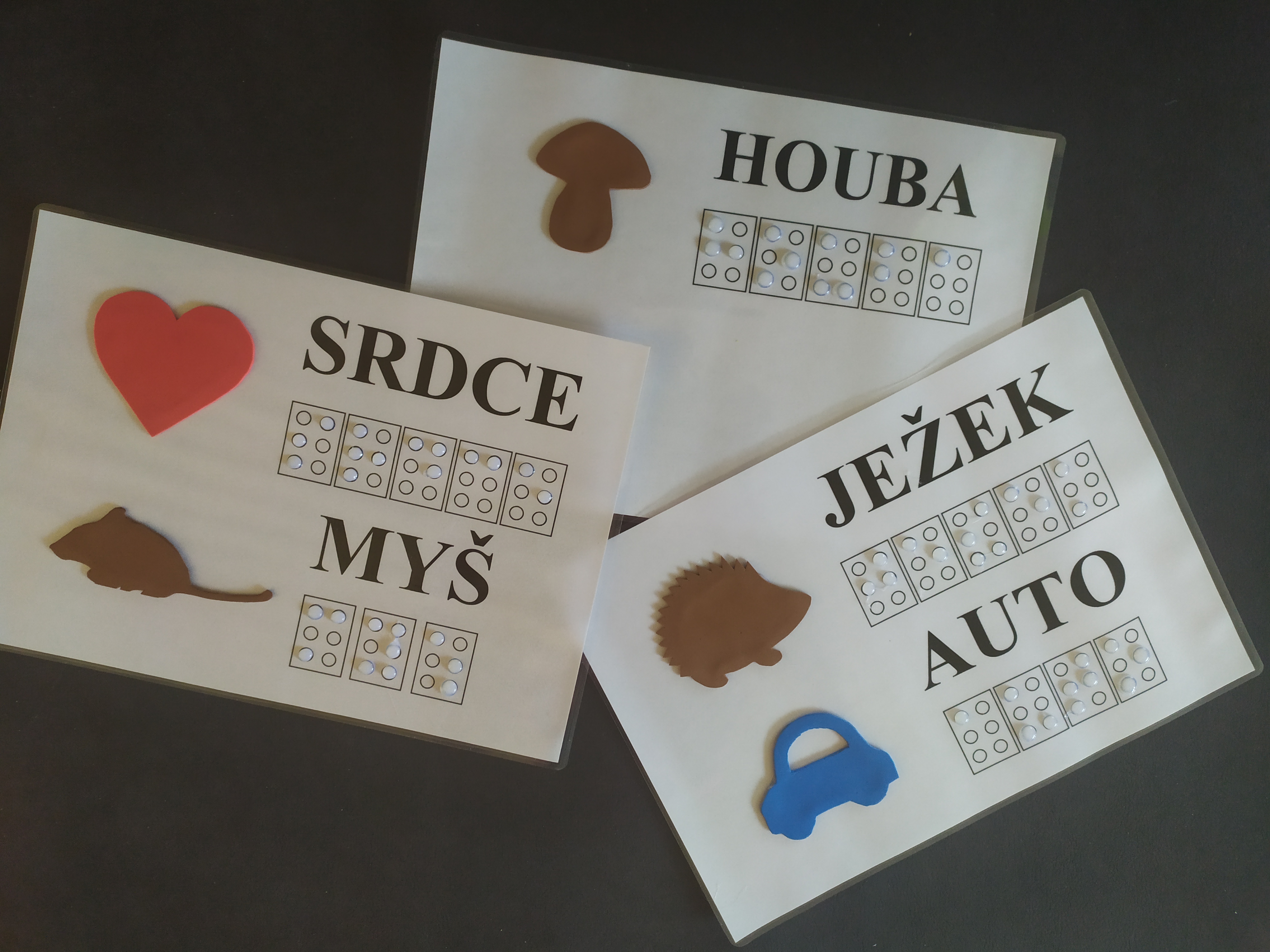 MEZINÁRODNÍ DEN NEVIDOMÝCH