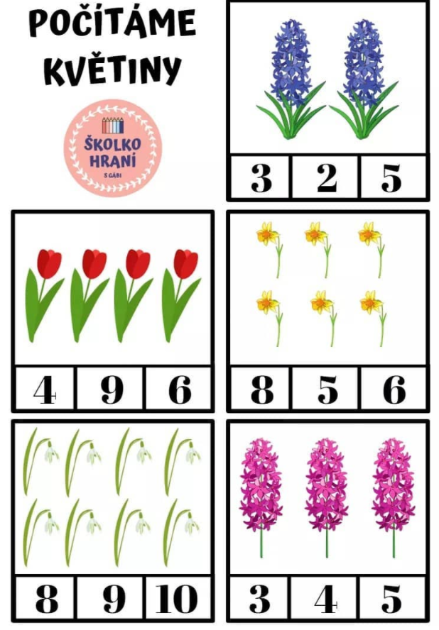 POČÍTÁME KVĚTINY