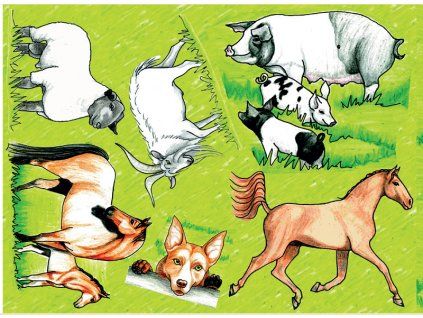 dokladacka pastvina 1