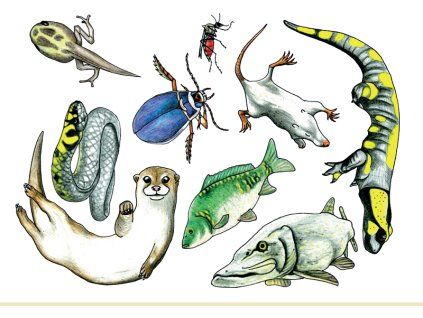 dokladacka podhladi 1