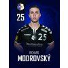 modrovsky 03