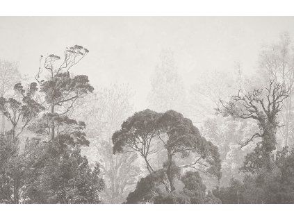jungle sketch