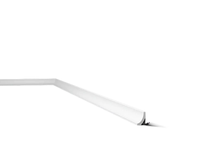 WT8