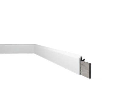 CF1