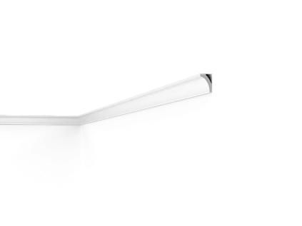 WT8 1