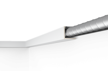 L1