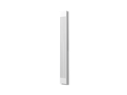 PP1