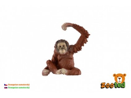 Orangutan sumaterský zooted plast 8cm v sáčku