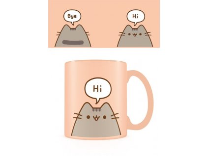 Hrnek Pusheen (HELLO GOODBYE)