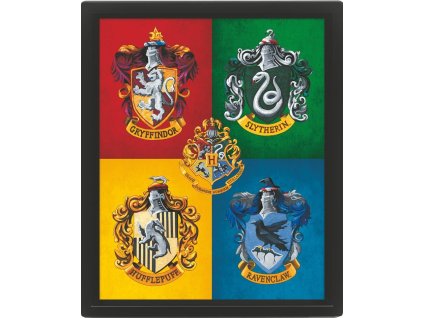 3D obraz Harry Potter barevný
