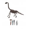 Archeologický set – Brachiosaurus