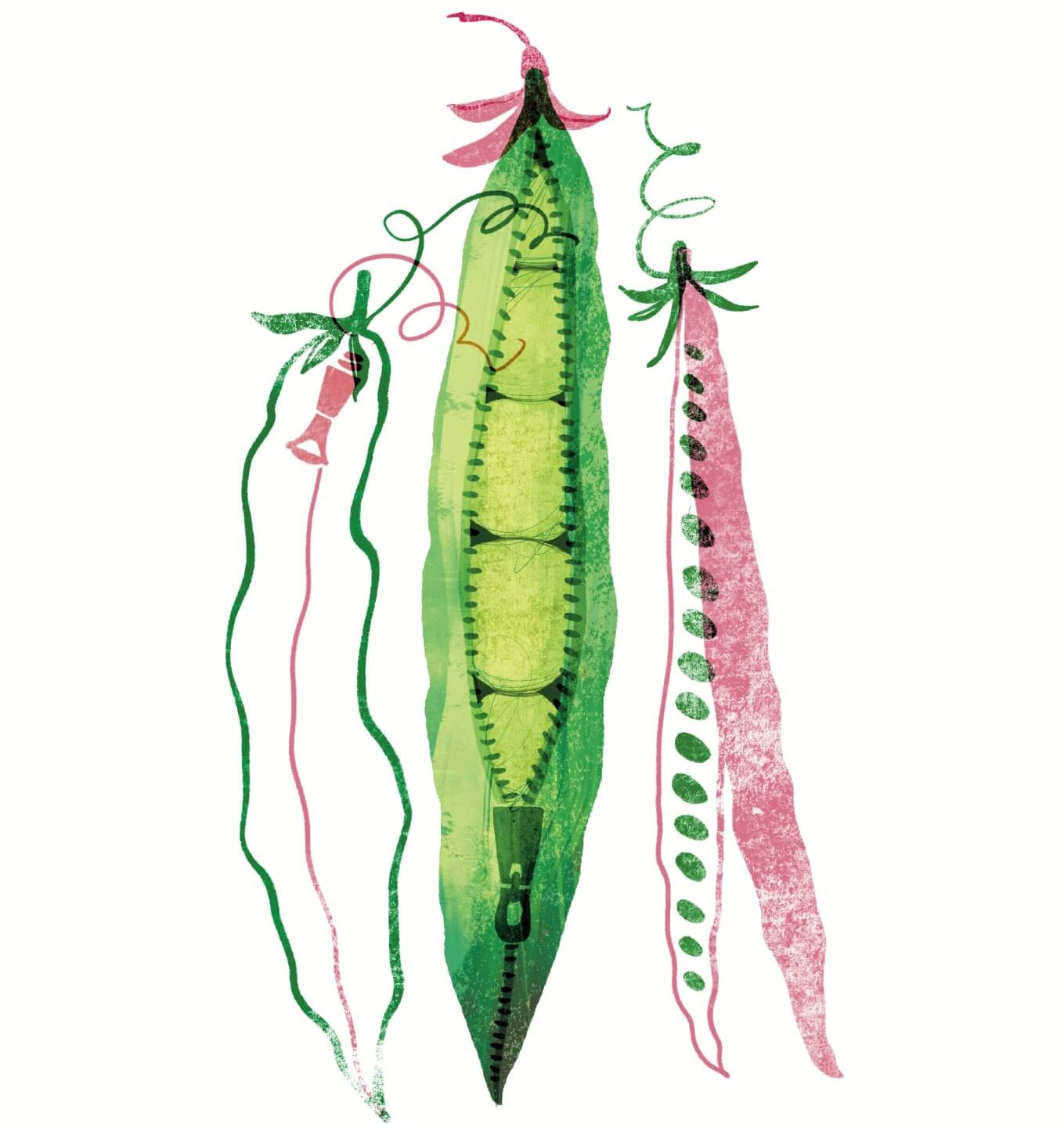 Výživná jídla na každý den