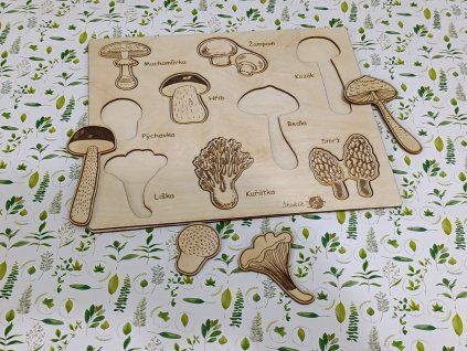 Druhy hub - puzzle, vkládačka