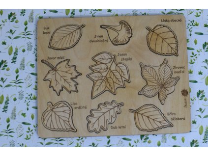 Dřevěné naučné puzzle (různé druhy)