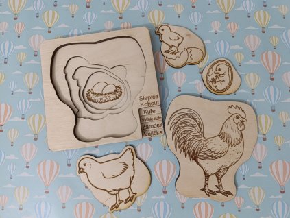 Vkládací puzzle - životní cyklus