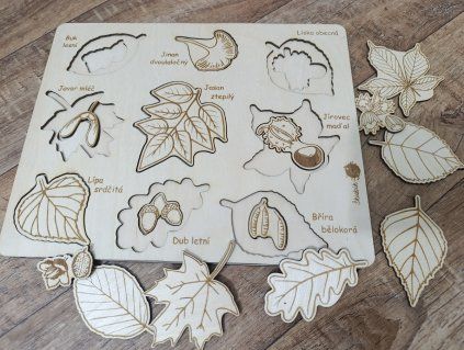 Listy a plody - puzzle, vkládačka