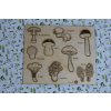 Dřevěné naučné puzzle (různé druhy)