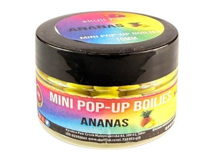 Mini POP-UP Boilies | 10mm | 25g