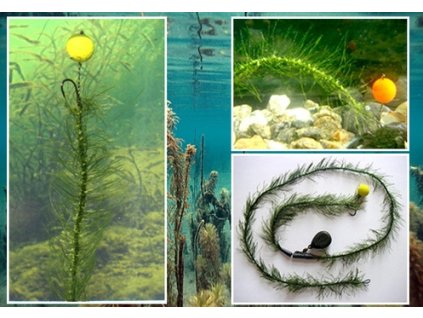 Katran Návazcová šňůrka Braided hook links MIMICKER 10m (Velikost 25 lb)
