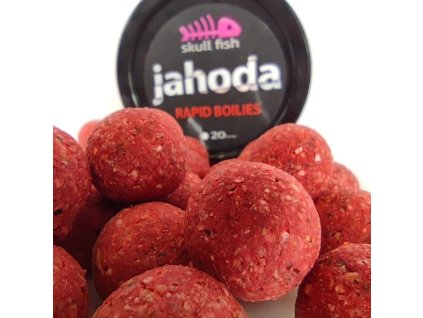 rapid jahoda