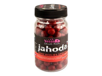 Mini boilies SPECIAL | 10mm | 70g  Kvalitní boilies od české firmy Skullfish