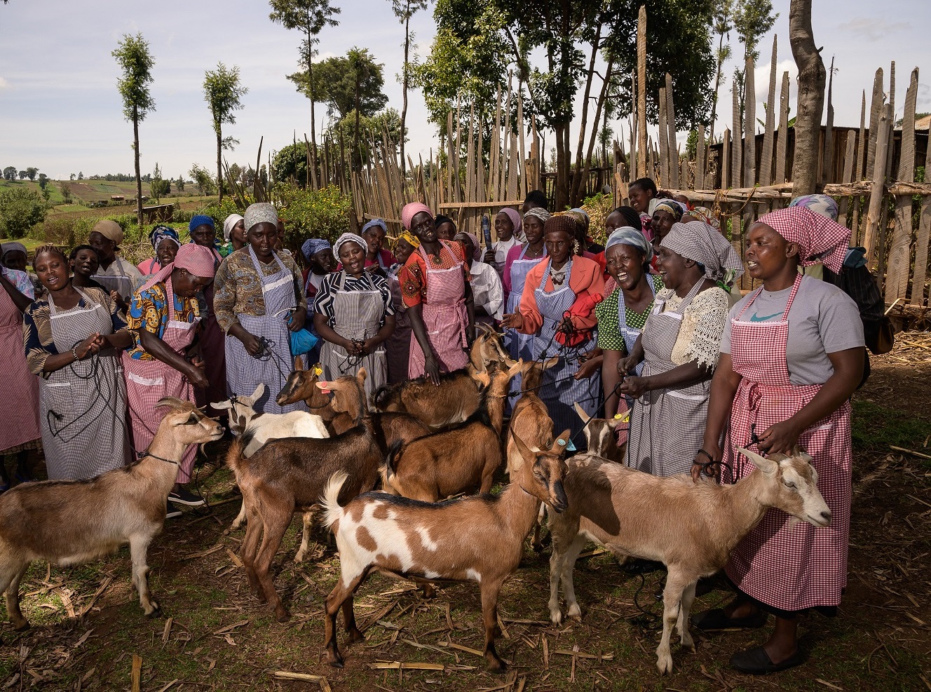 Pošlite Skutočný darček do sveta! Darčekové certifikáty sú dostupné už aj v angličtine!
