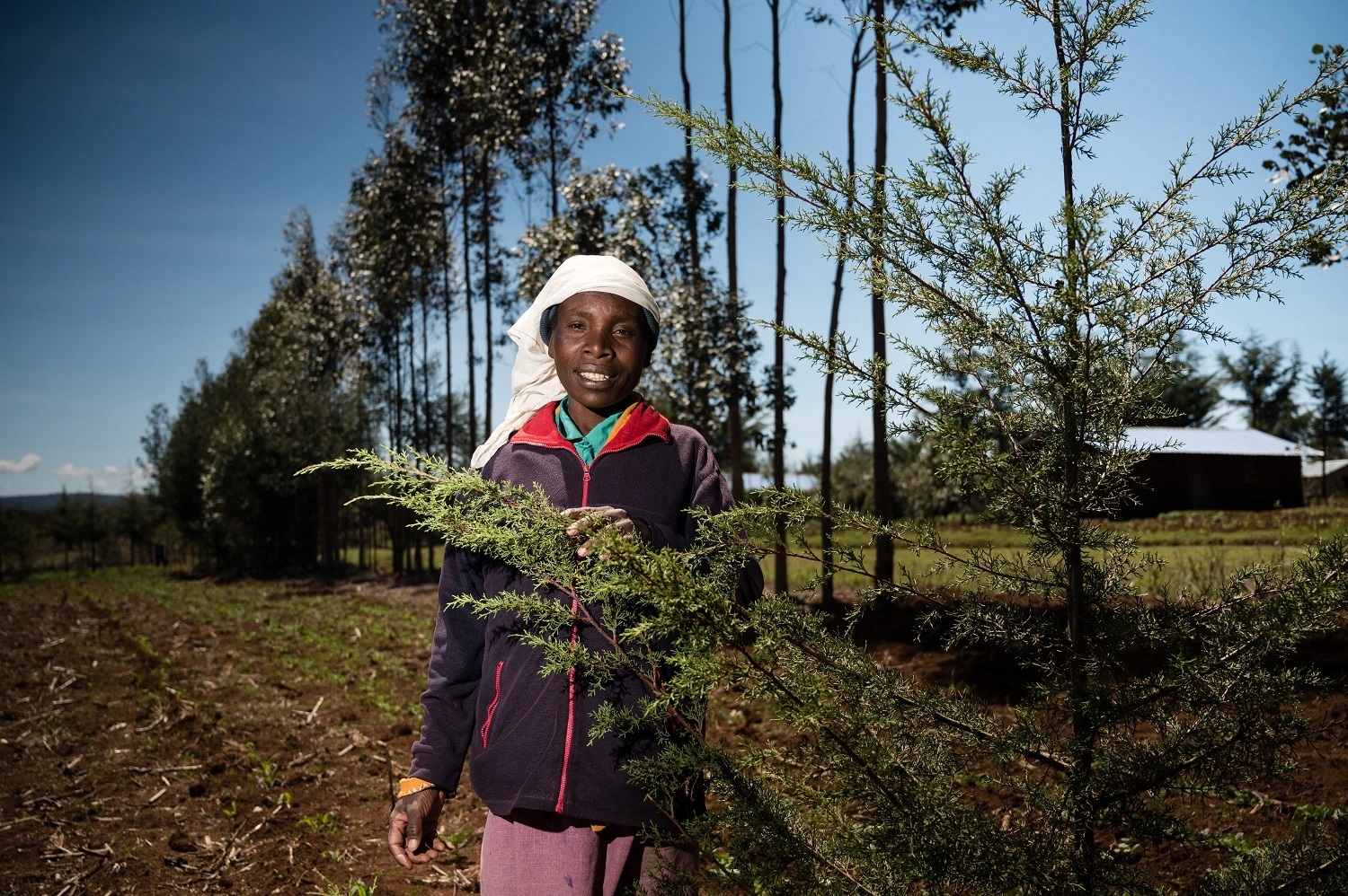 A Real Gift Will Also Delight Eco-Conscious People