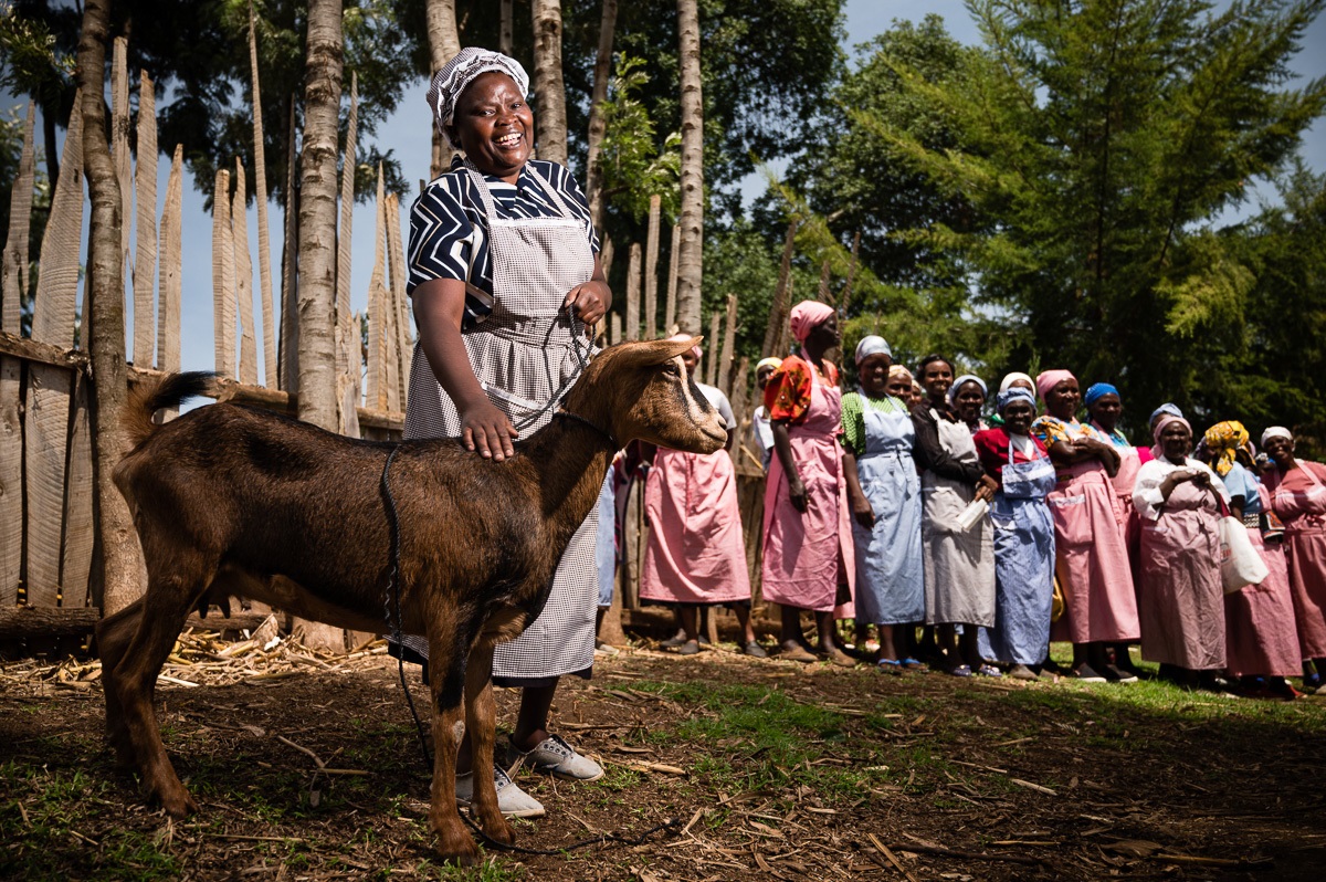 A Goat as a Gift? Help a Poor Family Secure Their Livelihood