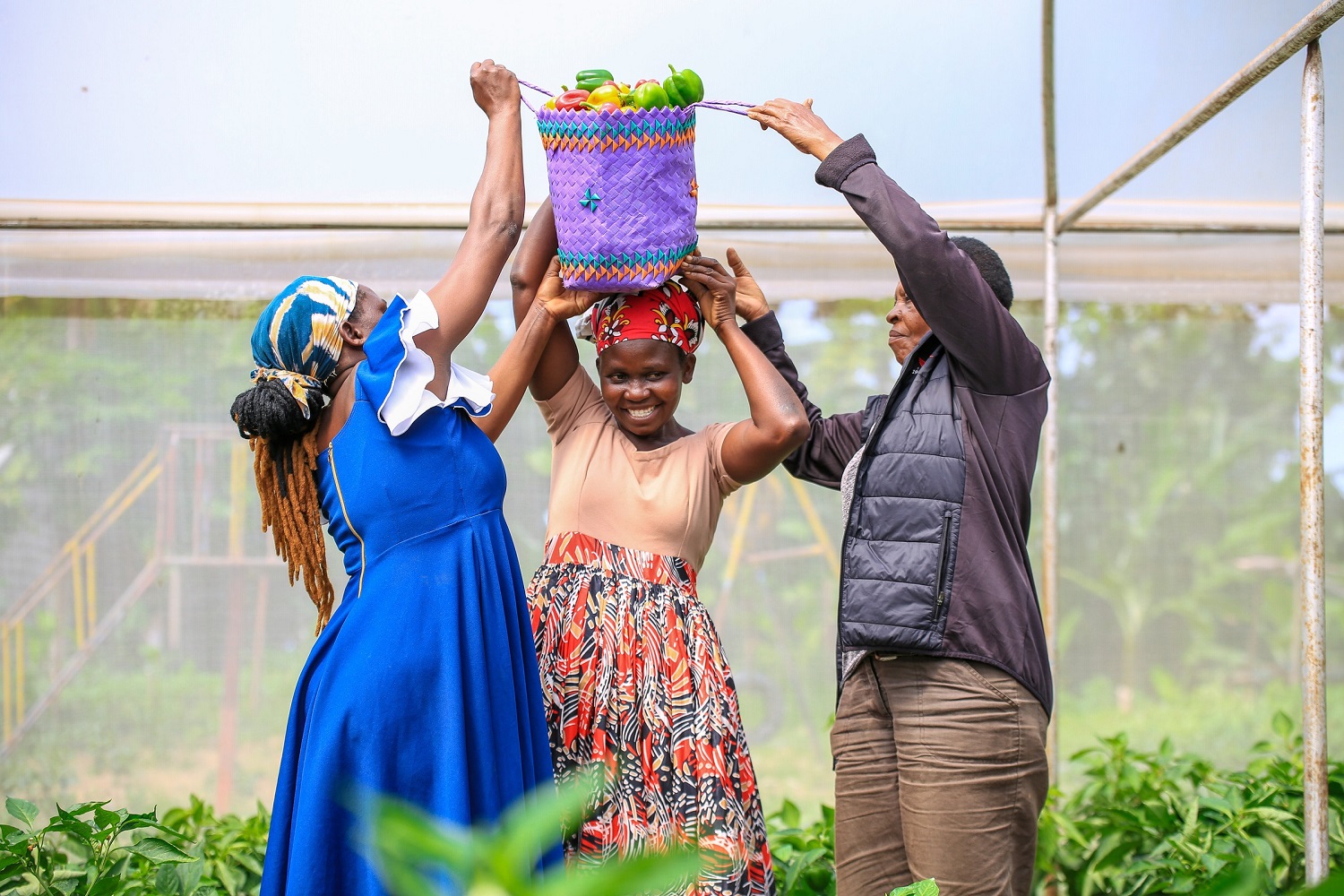 Great News from Kenya: Female Farmers Are Thriving