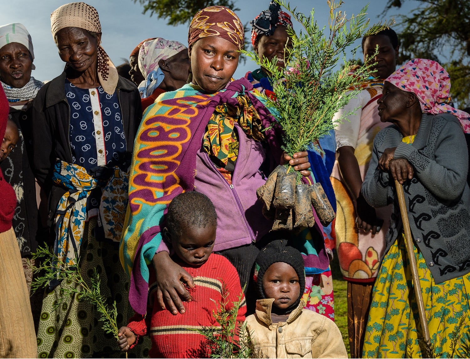 Thanks to Seedlings, We Help Small Farmers and Reforest Areas