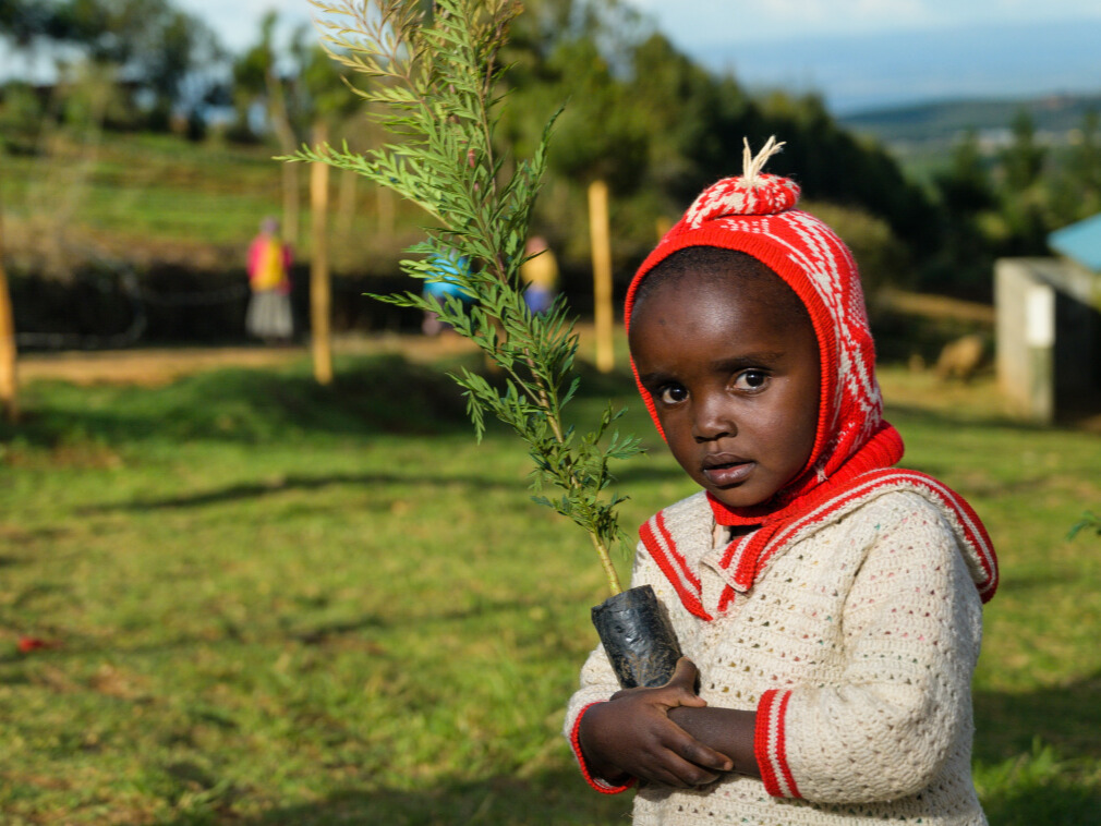 Vďaka sadeniciam pomáhame drobným farmárom a zalesňujeme územia