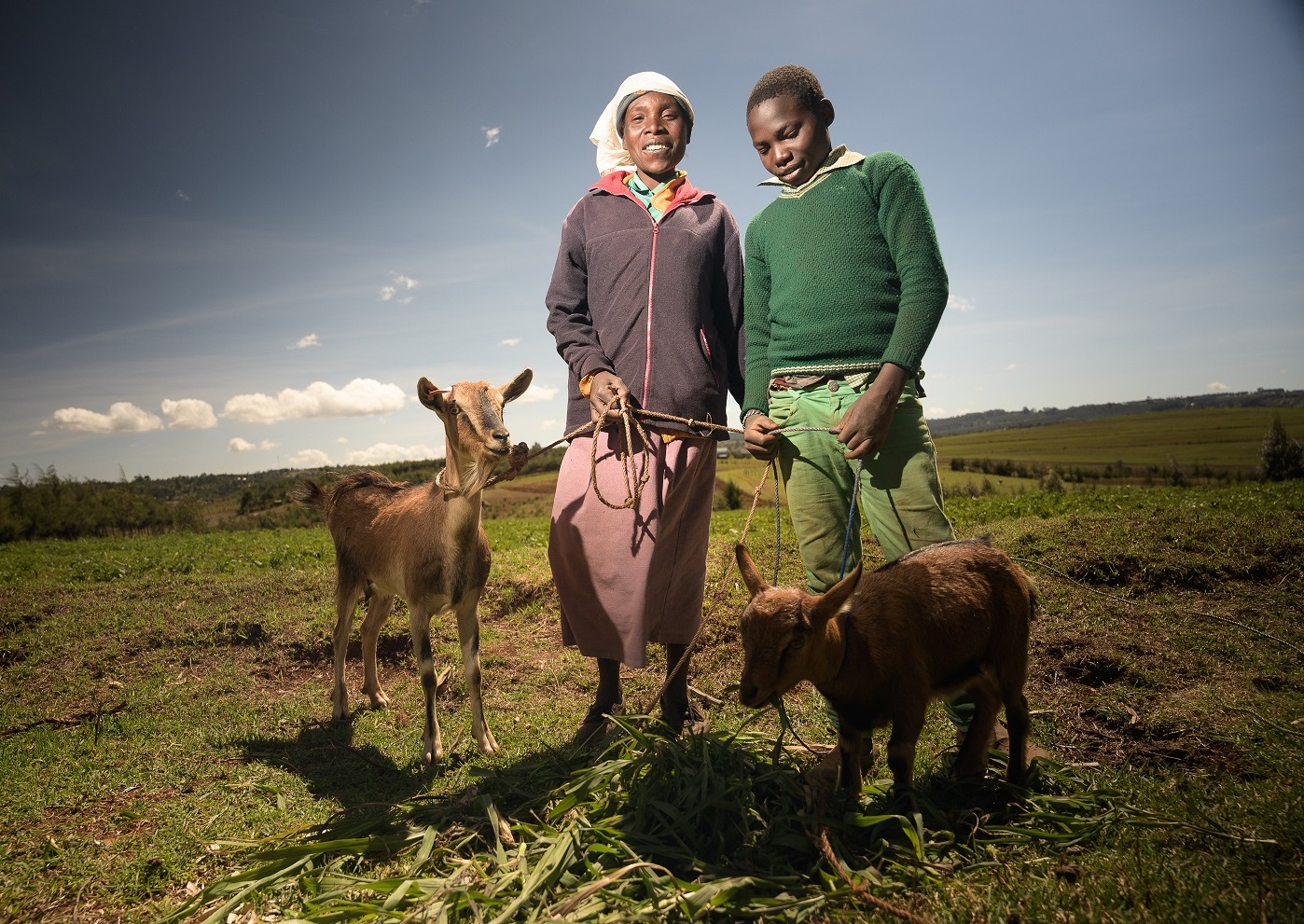 Your Stories with a Real Gift