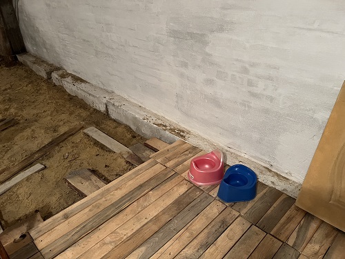 The Lack of Toilets Is a Serious Issue. Donate One This Christmas