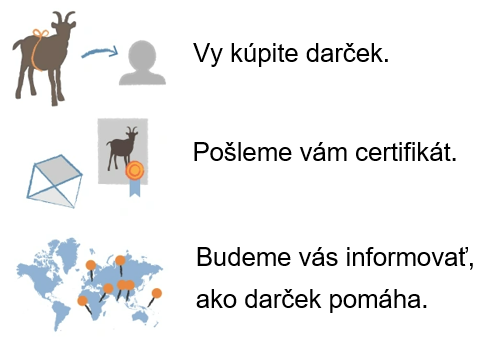 infografika4