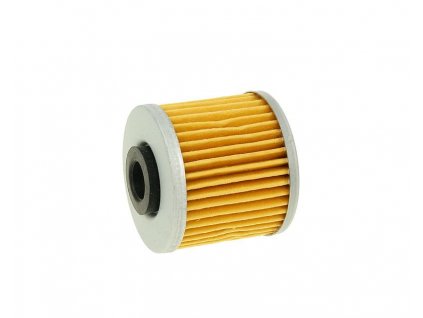 oil filter for Kawasaki, Downtown, People GT 125i, 200i, 300i
