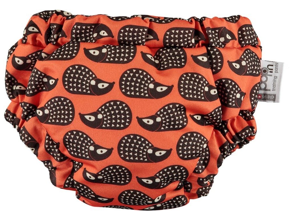 Night time Pants Hedgehogs Large Front