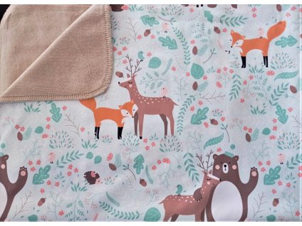 348358409 273593451736211 557678309526195691 n