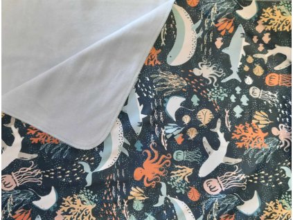 442445525 1014648016661831 3780531158344400879 n