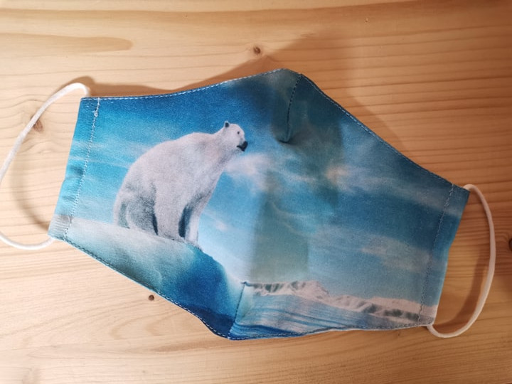 Designová látková rouška tvarovaná dámská / větší děti Barva: Lední medvídek
