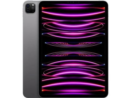 Apple iPad Pro 11 (2022) 128GB 256GB 512GB 1TB M2 Vesmirne sedy Space Grey