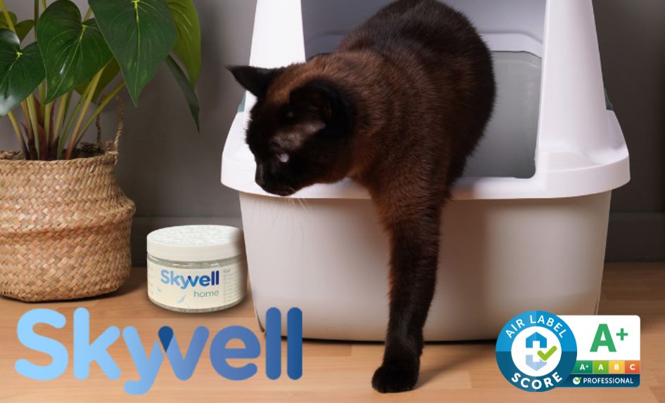 carousel skyvell homepage mačka