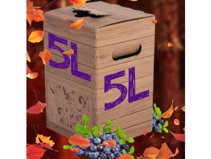 Borůvkové víno - Borůvčák  - rodinné balení 5L